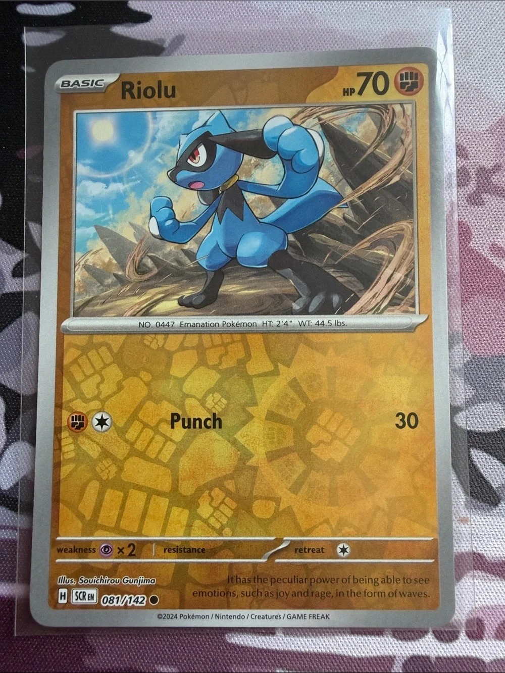 Riolu Lucario Reverse Holo Holo Evolution Pokémon Card Lot TCG ✨5/$25✨